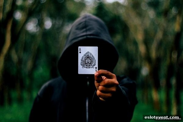 电子游艺厅娱乐活动：飞禽走兽游戏底池赔率深度解析