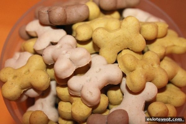 JILI电子VIP用户专享活动与电子游艺厅娱乐活动深度指南