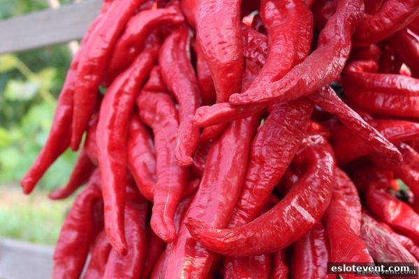 电子游艺厅娱乐活动中的波动性密码：以太坊游戏影响调研