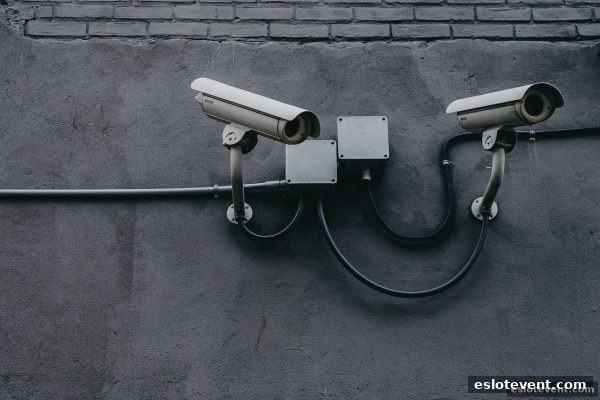 电子游艺厅娱乐活动与网络法律边界：合规参与指南