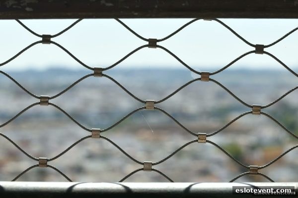 电子游艺厅娱乐活动防骗手册：RTG平台风险识别与安全操作全攻略